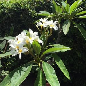 Meet your Posher, Lien